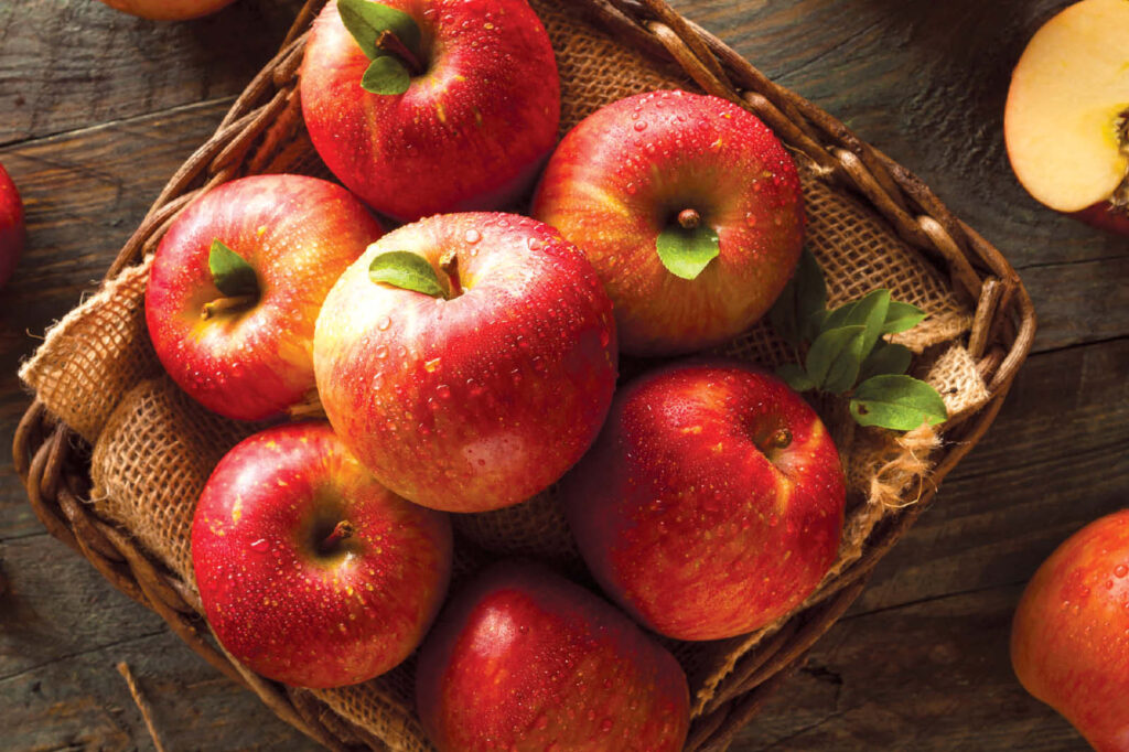 New Crop of Organic Fuji Apples