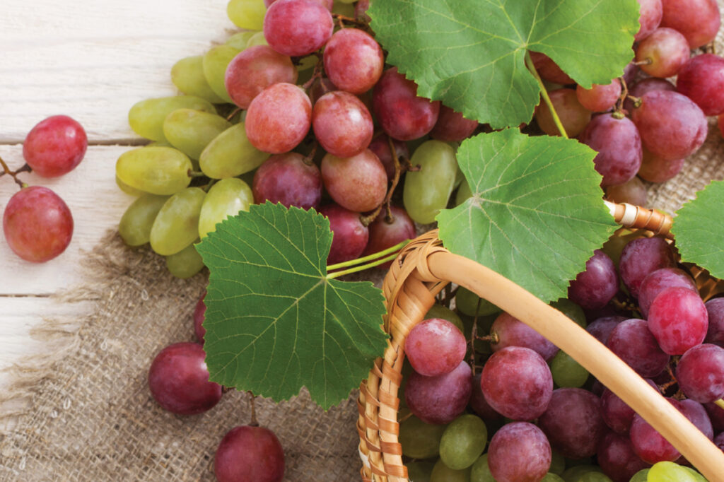 Fresh Organic Seedless Red or Green Grapes