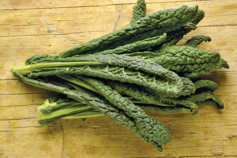 Organic Bunches of Lacinato Kale