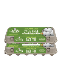 Clover Organic Cage‑Free Large White Eggs