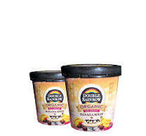 Double Rainbow Premium Ice Cream