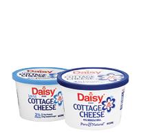 Daisy Cottage Cheese