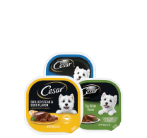 Cesar Wet Dog Food