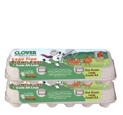 Clover Organic Cage Free Large Brown Eggs