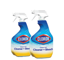 Clorox Cleaner