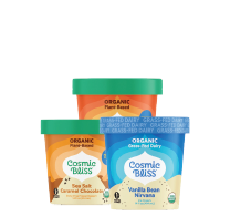 Cosmic Bliss Coconut Milk Ice Cream
