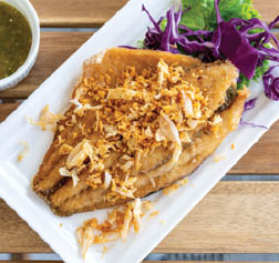 Fresh Wild Caught Red Snapper