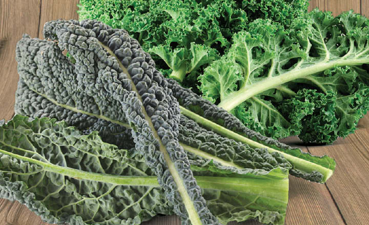 Organic Lacinato or Green Kale