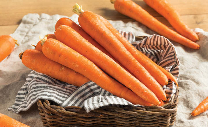 Fresh & Crisp Carrots