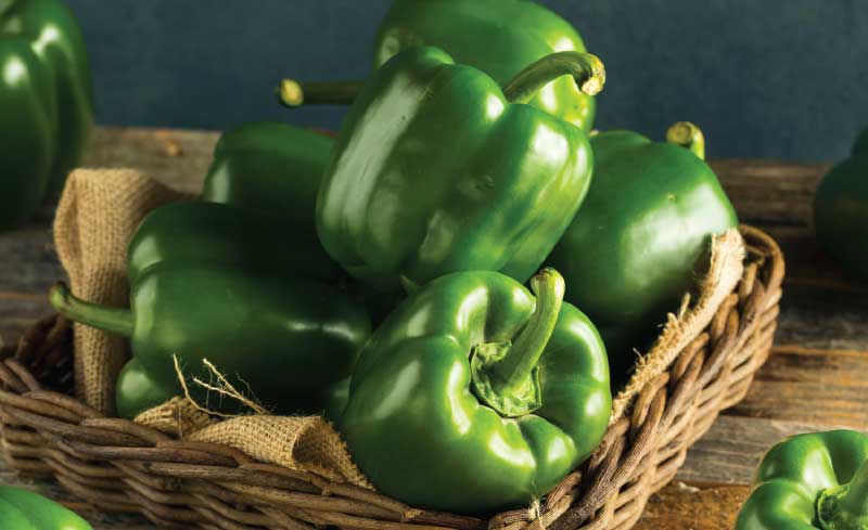 Fresh Green Bell Peppers