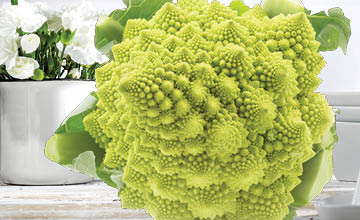 Organic Romanesco