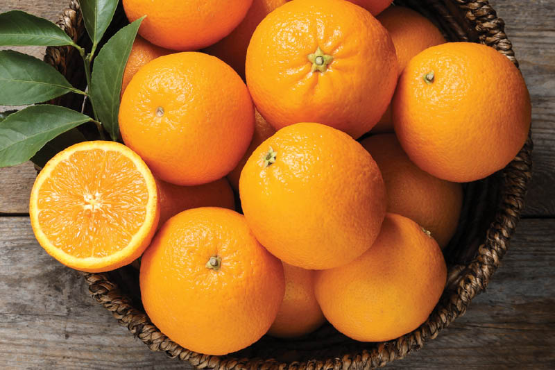 Fresh & Sweet Navel Oranges