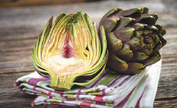 Fresh Large Artichokes