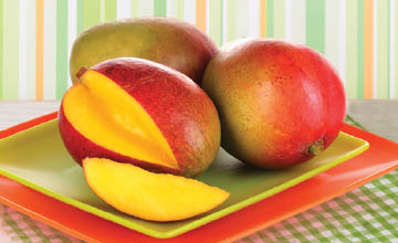 Fresh Large Kent Mangos