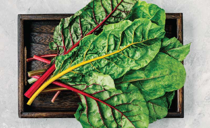 Organic Rainbow Chard