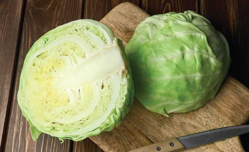 Organic Green Cabbage