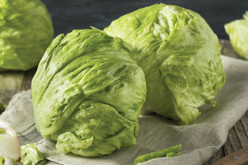 Fresh Heads of Iceberg Lettuce