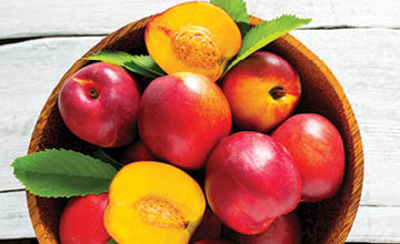 Organic Yellow Nectarines