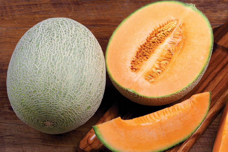 Sweet Whole Fresh Cantaloupe