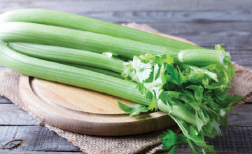 Fresh Celery Stalks