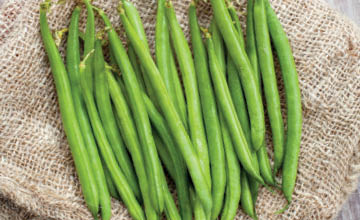 Organic Green Beans
