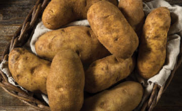 Fresh Russet Potatoes