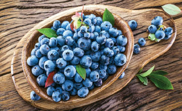 Fresh Blueberries