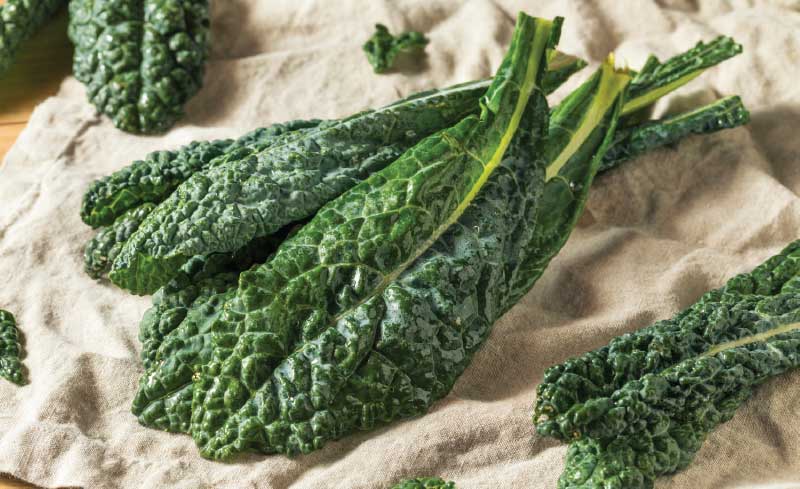 Organic Local Dino Kale