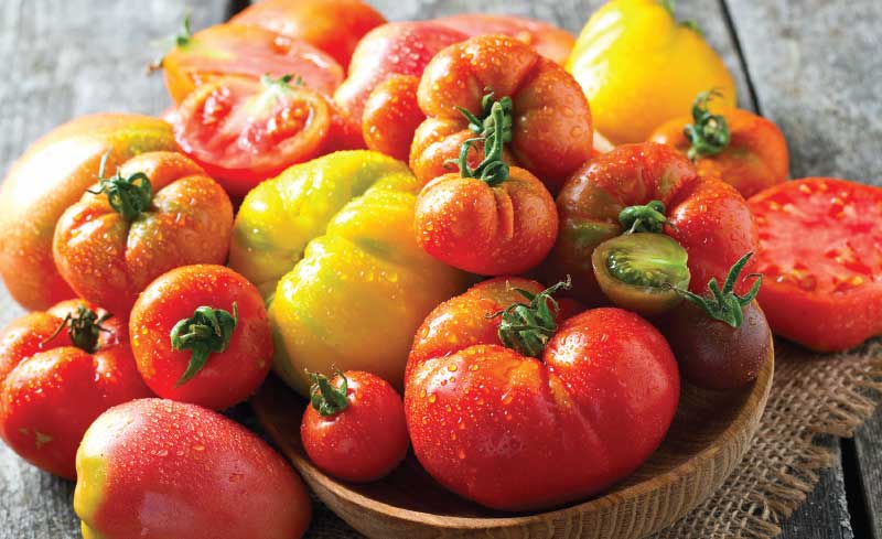 Organic Heirloom Tomatoes