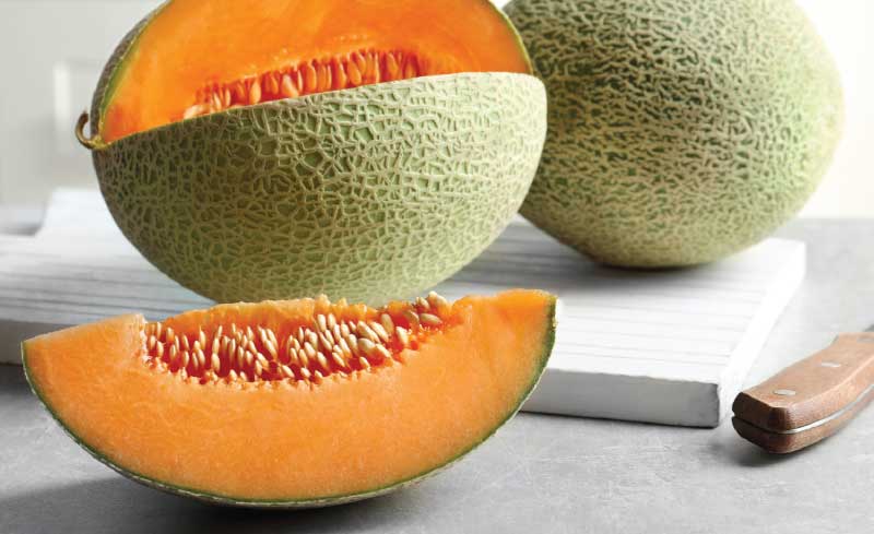 Fresh Jumbo Cantaloupes