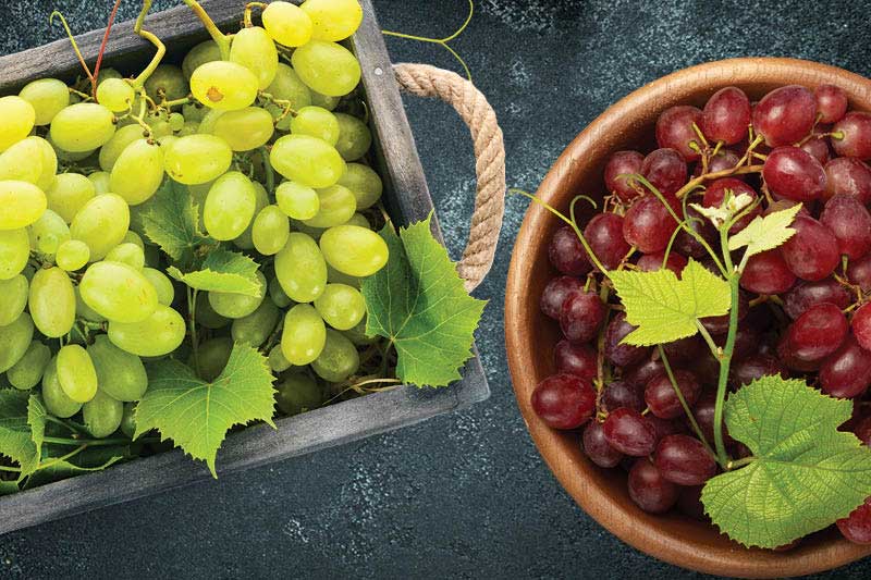 Fresh Seedless Red or Green Grapes