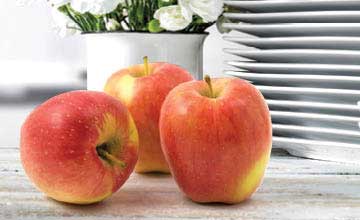 Fresh Gala Apples