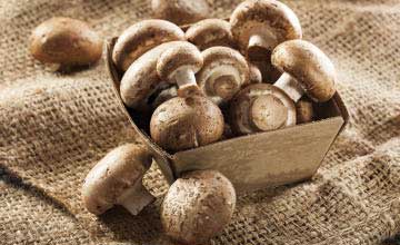 Fresh Cremini Mushrooms