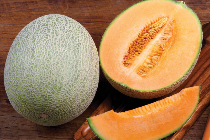 Fresh Jumbo Size Cantaloupe Melons