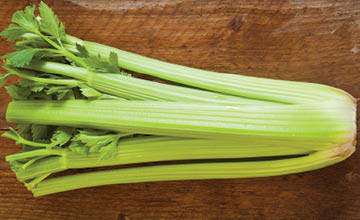 Fresh Large Bunches of Celery