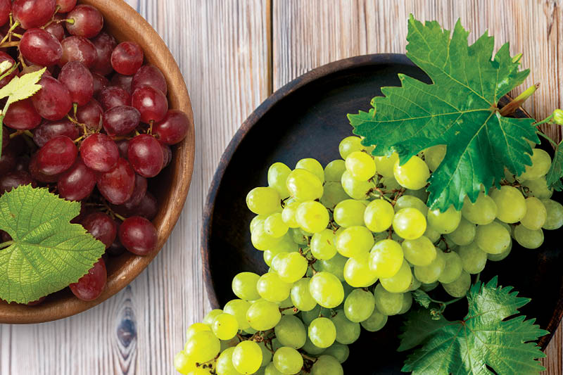 Fresh Seedless Red or Green Grapes