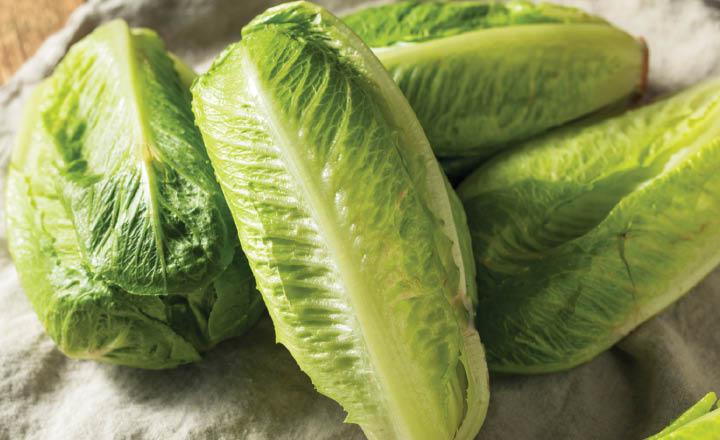 Organic Romaine Hearts