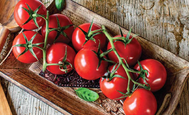 Fresh Cluster Tomatoes