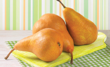 Organic Bosc Pears