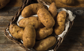Fresh Russet Potatoes