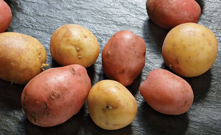 Organic Yukon Gold or Red Potatoes